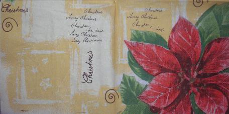 Vánoční hvězda (4).JPG