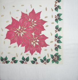 Vánoční hvězda (22).JPG