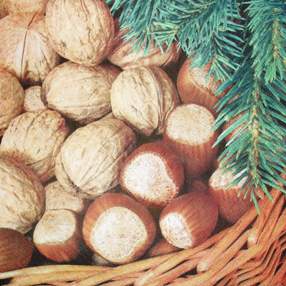 oříšky s větvičkou.JPG